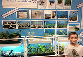  plant science